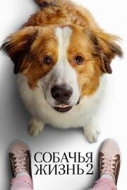 Собачья жизнь 2(A Dog's Journey)