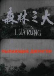 Пылающие джунгли(Lửa rừng)